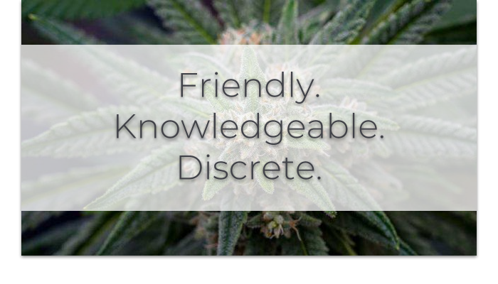 Cannabis Experts