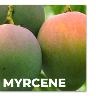 Mycrene